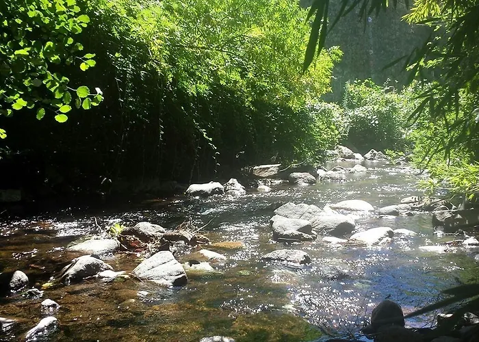 شقة Maison De Textile Montolieu